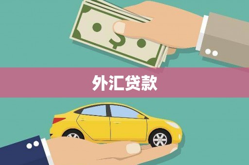 栾城外汇贷款