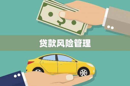 栾城贷款风险管理