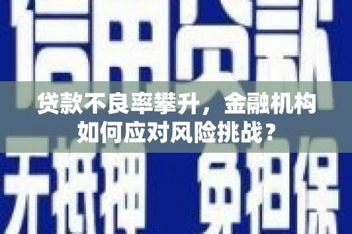 栾城贷款不良率攀升，金融机构如何应对风险挑战？