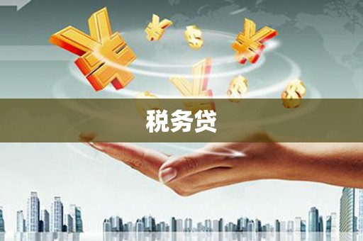 栾城税务贷