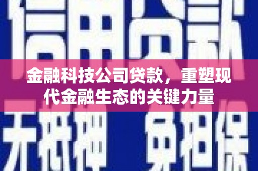 栾城金融科技公司贷款，重塑现代金融生态的关键力量