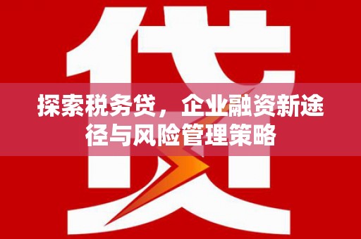 栾城探索税务贷，企业融资新途径与风险管理策略