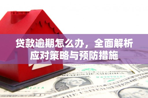 栾城贷款逾期怎么办，全面解析应对策略与预防措施