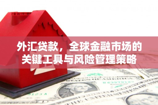 栾城外汇贷款，全球金融市场的关键工具与风险管理策略