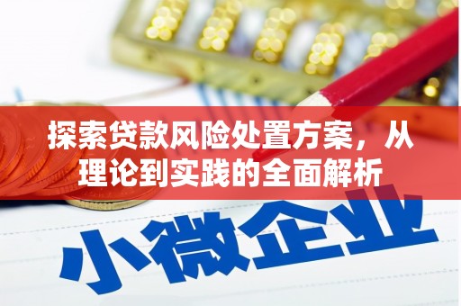 栾城探索贷款风险处置方案，从理论到实践的全面解析
