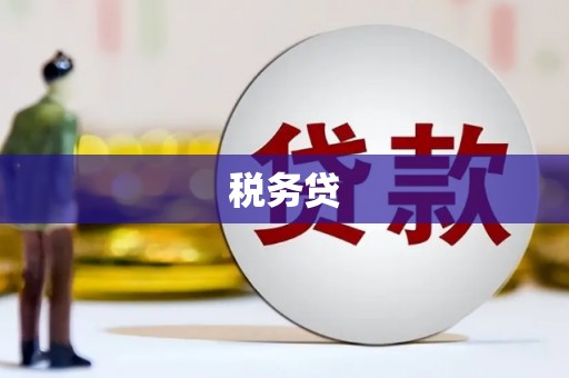 栾城税务贷
