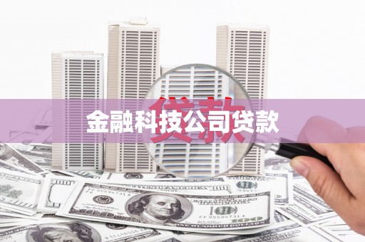 栾城金融科技公司贷款