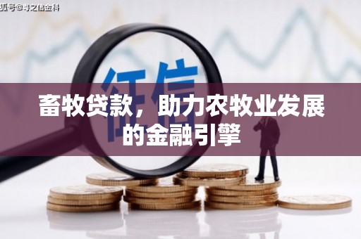 栾城畜牧贷款，助力农牧业发展的金融引擎