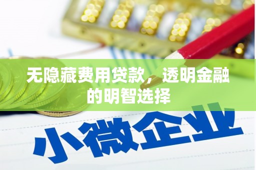 栾城无隐藏费用贷款，透明金融的明智选择