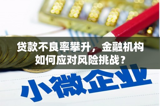 栾城贷款不良率攀升，金融机构如何应对风险挑战？