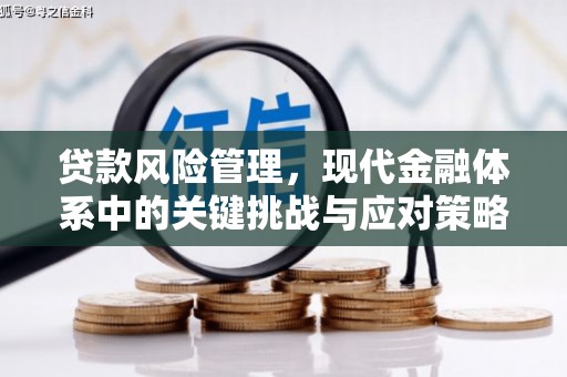 栾城贷款风险管理，现代金融体系中的关键挑战与应对策略