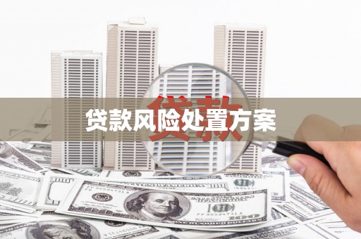栾城贷款风险处置方案