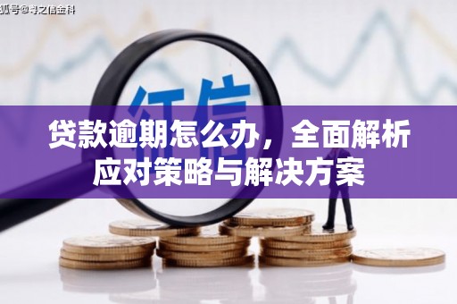栾城贷款逾期怎么办，全面解析应对策略与解决方案